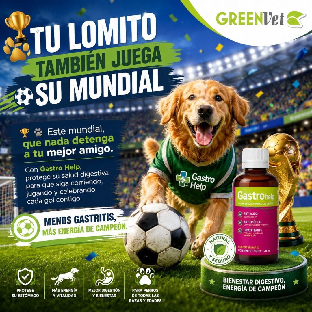 Ejemplo de trabajo de marketing