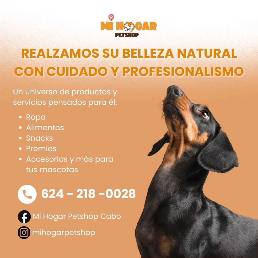 Imagen-de-WhatsApp-2025-06-22-a-las-15.39.48_cd919086