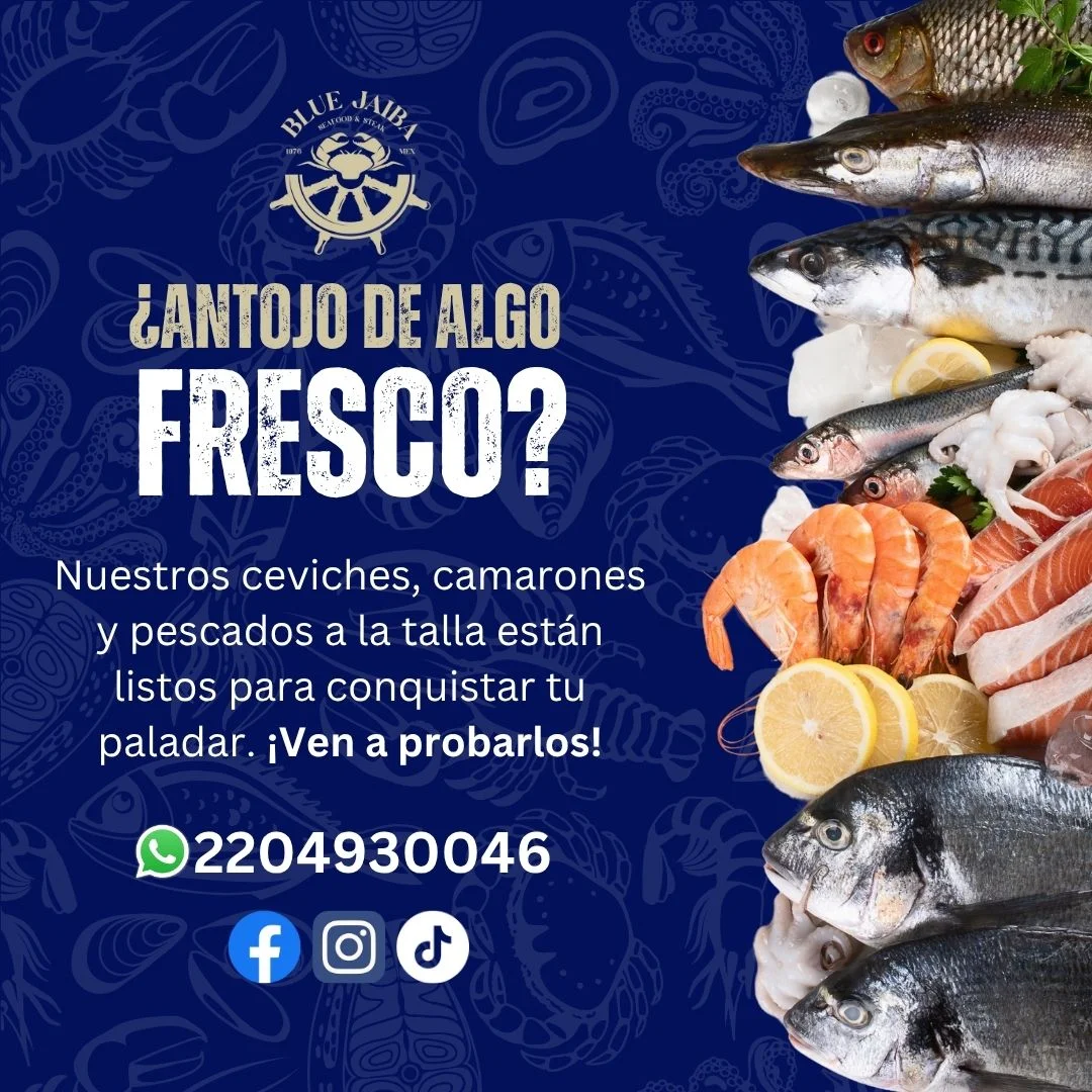 Imagen-de-WhatsApp-2025-06-22-a-las-15.40.52_4547019a